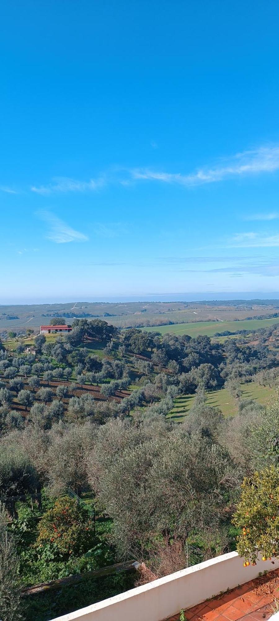 Casa D'Alice Villa Seda Bagian luar foto